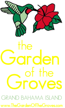 Bahamas Attractions - Garden Of The Groves